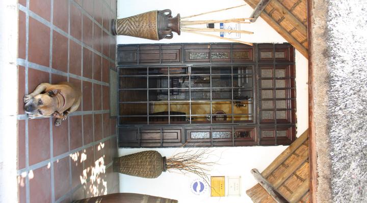 The Vinelands on Alpha