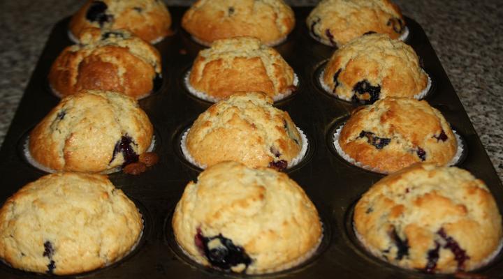 The Vinelands on Alpha