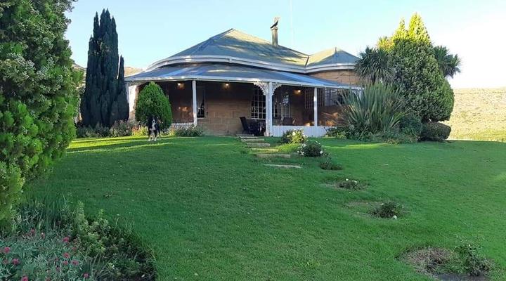 Willowdene Guest Farm