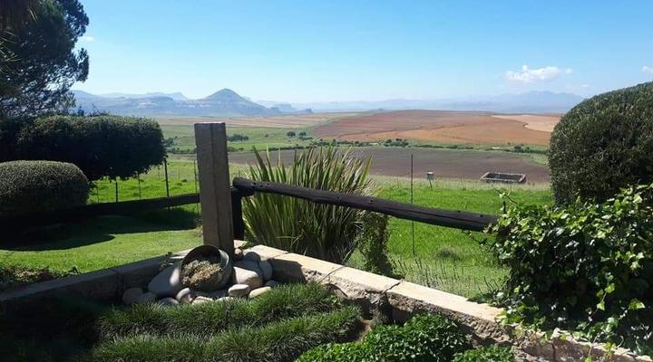 Willowdene Guest Farm