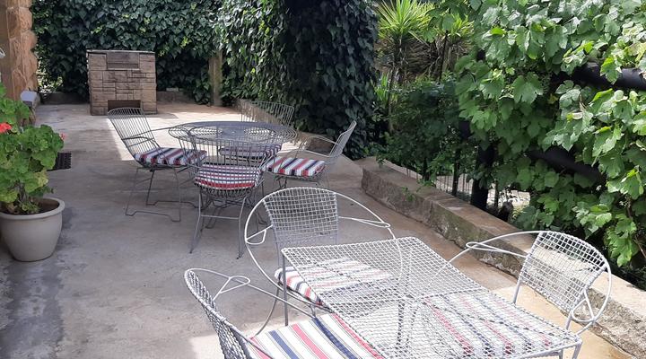 Willowdene Guest Farm