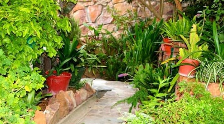 Fisherman's Watch Cottage