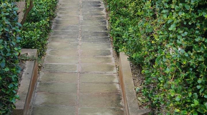 La Palma Villas No. 37