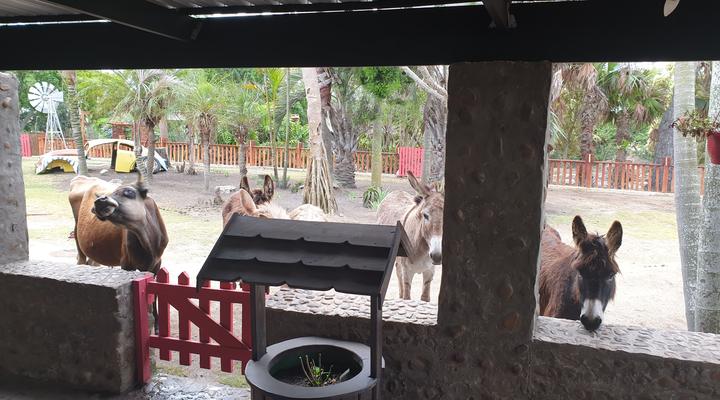 Hartsklop Guest Farm