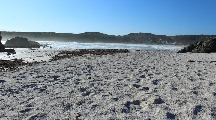 Cockleshell Beach House