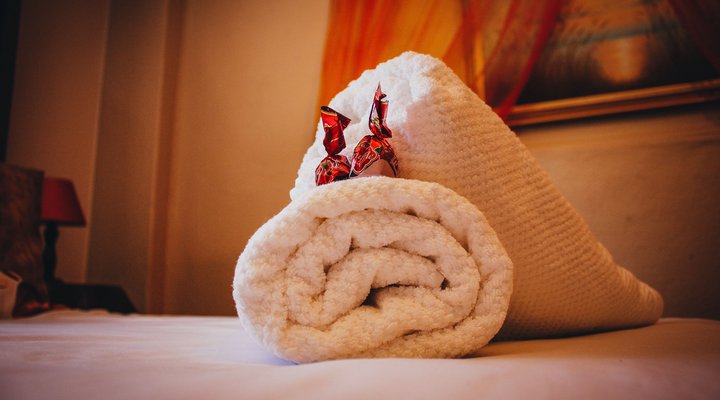 African Elephant's Den