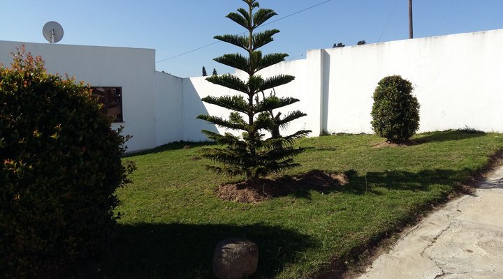 New Beginnings Bed& Breakfast