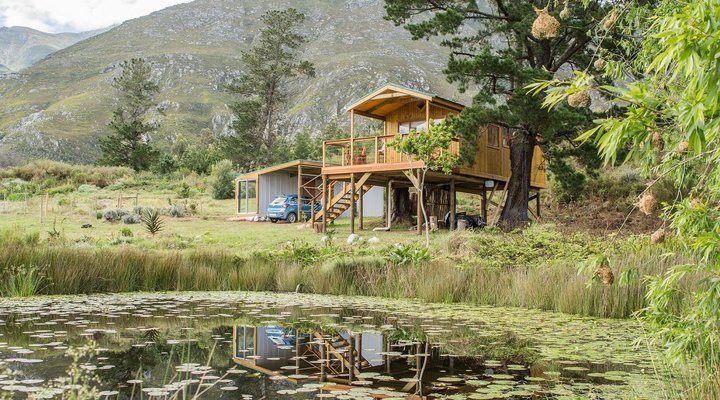 The Hermitage Valley Treehouse