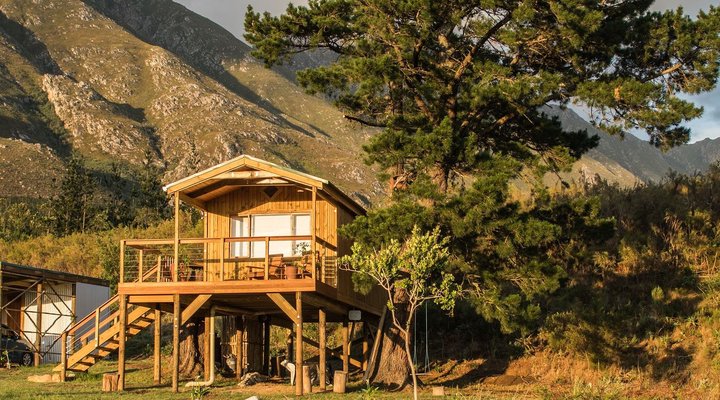 The Hermitage Valley Treehouse