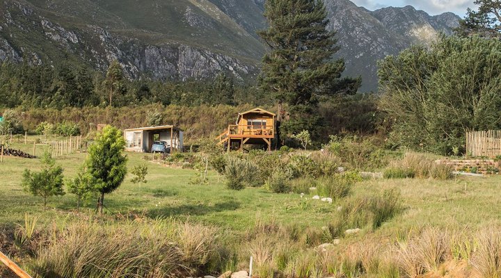 The Hermitage Valley Treehouse