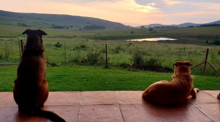 Highland Giants Estate