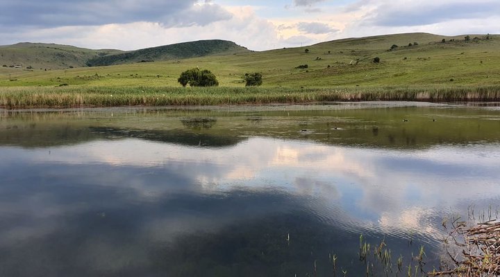 Highland Giants Estate