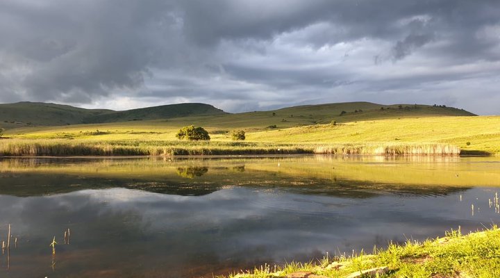 Highland Giants Estate