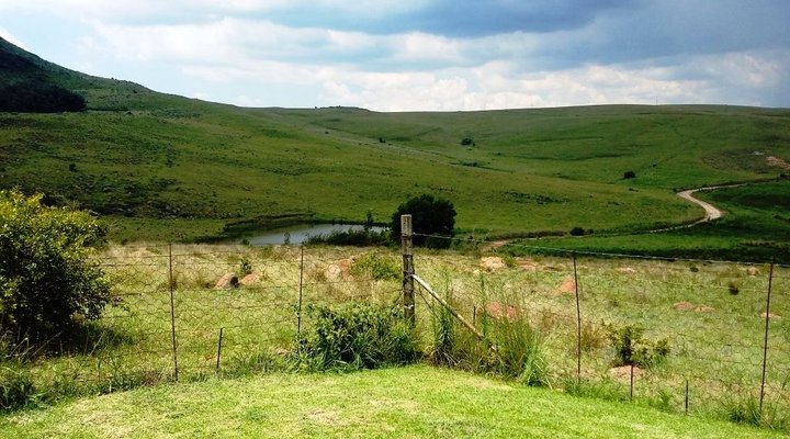 Highland Giants Estate
