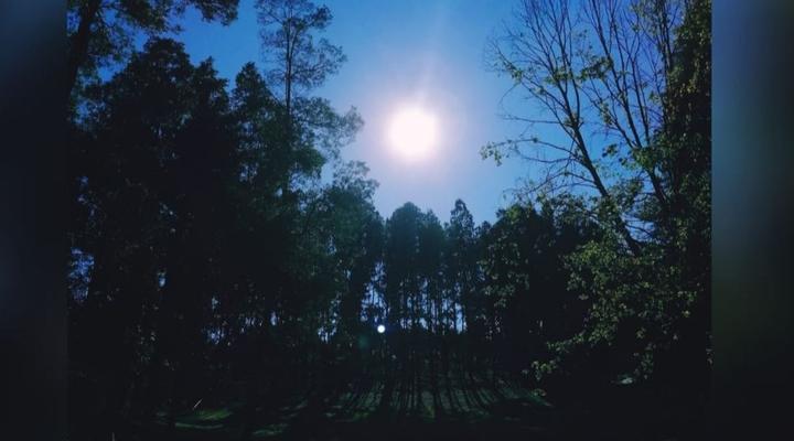 Abberley Guest House