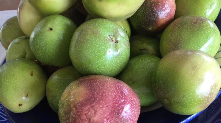 Seascape Guest Villa