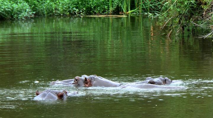 Kruger Park Lodge Unit No. 608A
