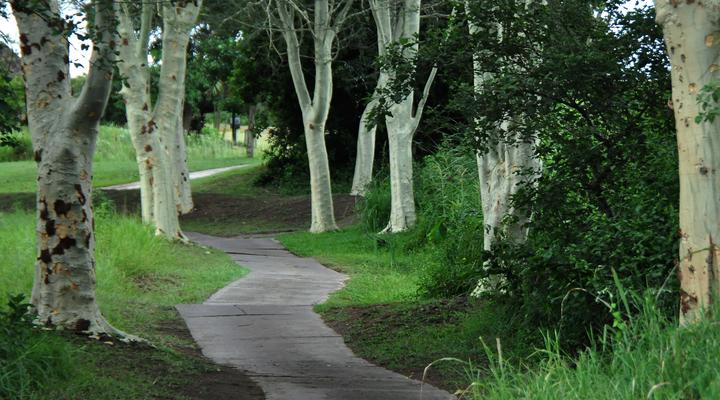 Kruger Park Lodge Unit No. 608A