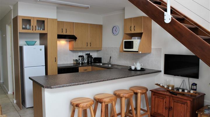 South Shore Harrier 202