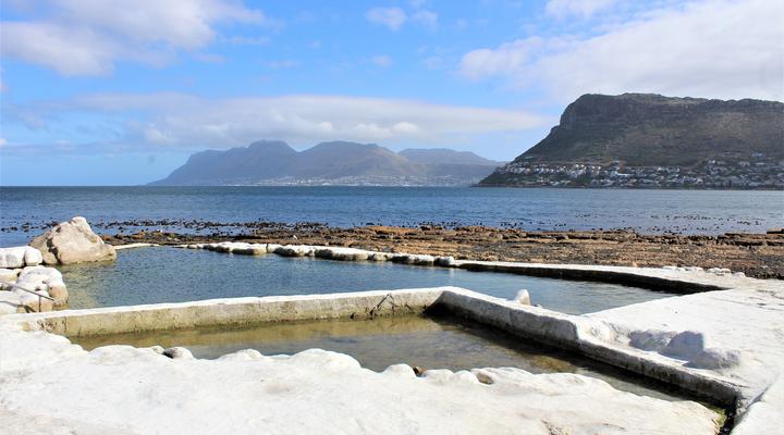 South Shore Harrier 202