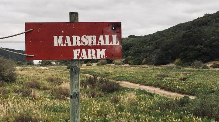 Marshall Farm