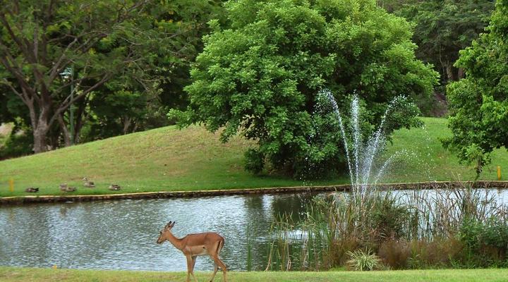 Kruger Park Lodge Unit No. 610B