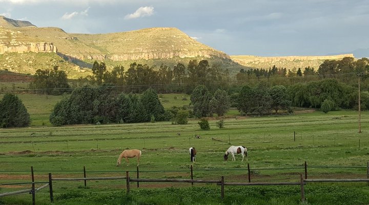 Denhaven Country Cottages
