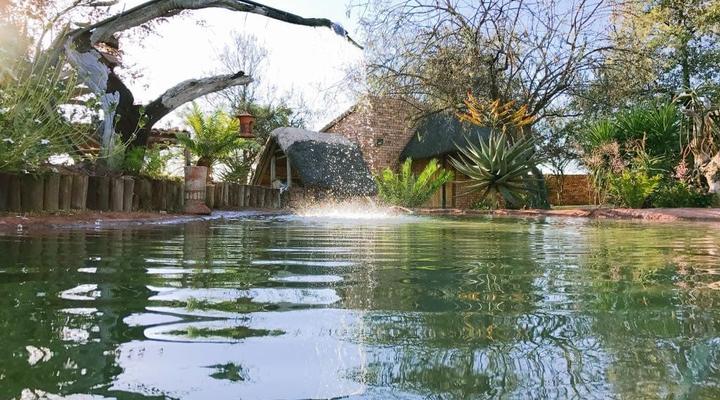 Buffalo Ranch Game Lodge