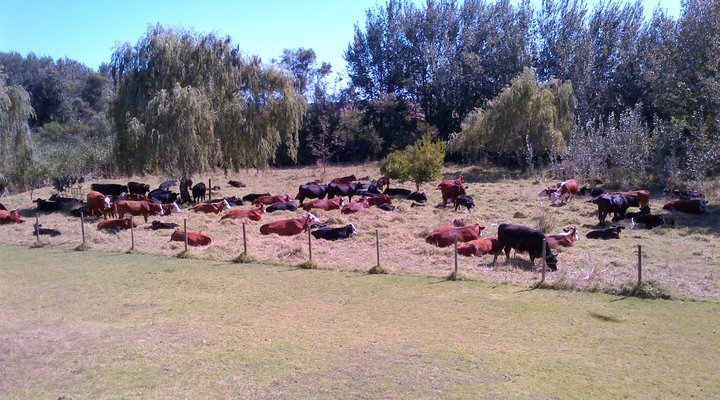 Onze Rust Guest House