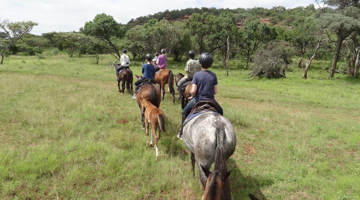 Colin’s Horseback Africa