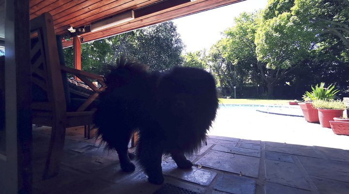 Biancalba Guest House