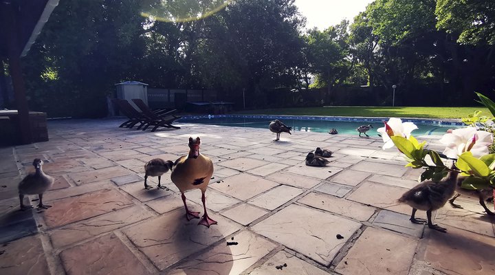 Biancalba Guest House