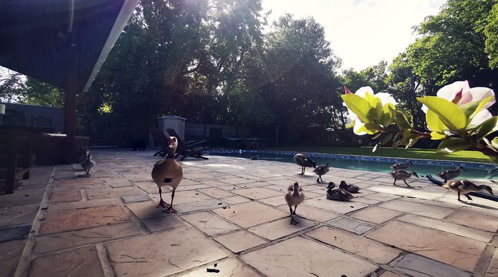 Biancalba Guest House