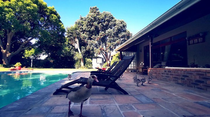 Biancalba Guest House