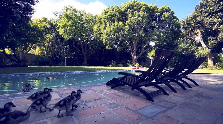 Biancalba Guest House