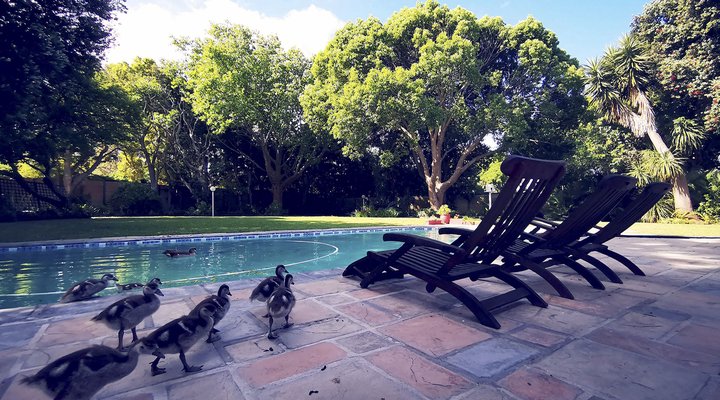 Biancalba Guest House