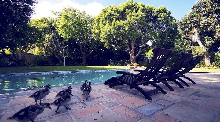 Biancalba Guest House