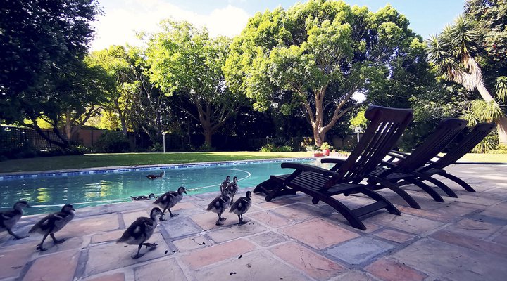 Biancalba Guest House