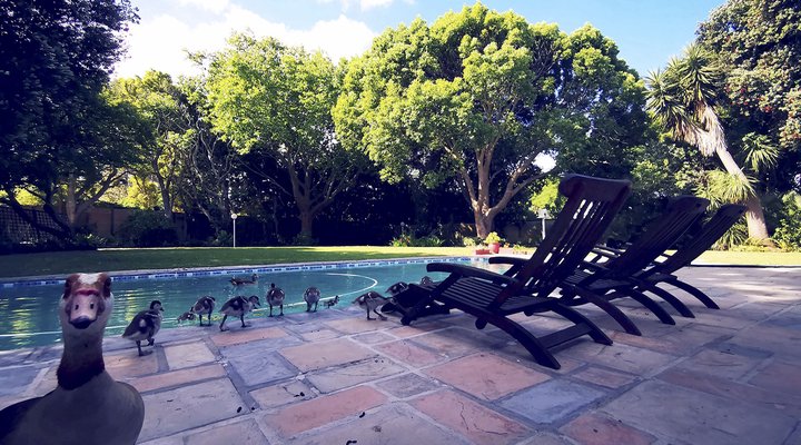 Biancalba Guest House