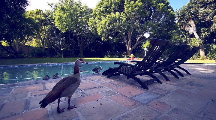 Biancalba Guest House