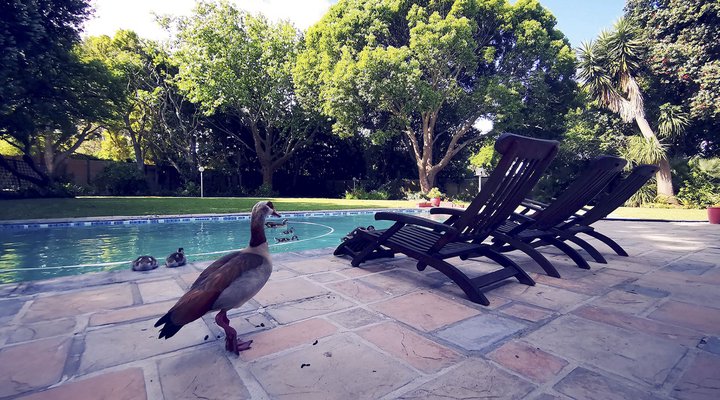 Biancalba Guest House