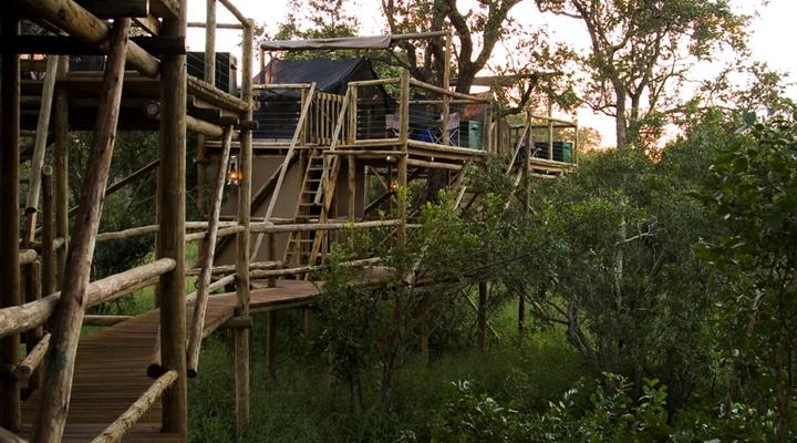 Plains Camp - Rhino Walking Safaris