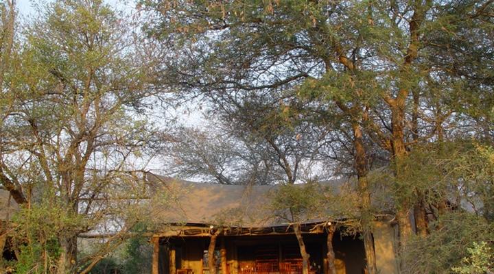 Plains Camp - Rhino Walking Safaris