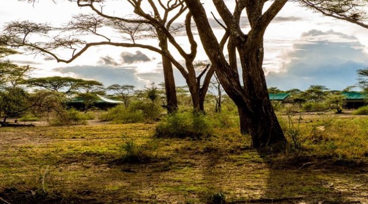 Ang'ata Migration Camp