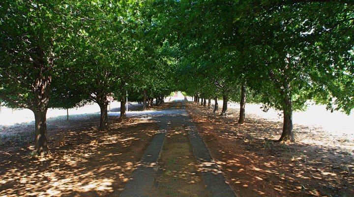 Kloppenheim Self-Catering