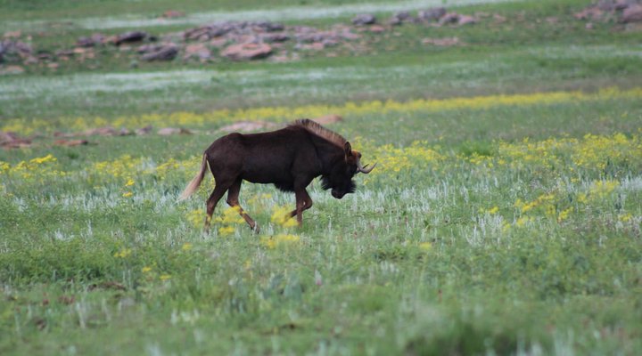 Kloppenheim Self-Catering