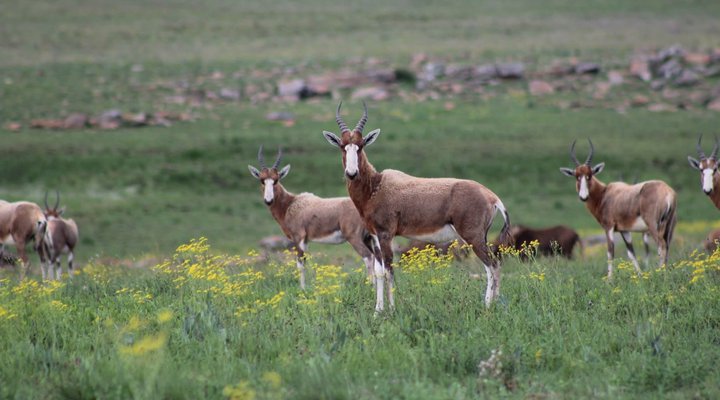 Kloppenheim Self-Catering