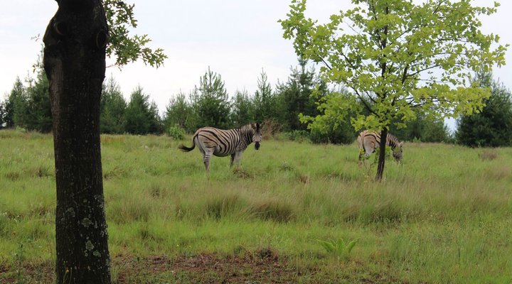 Kloppenheim Self-Catering