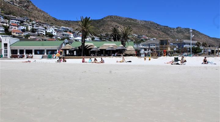 South Shore Harrier 202