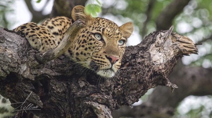 Toro Yaka Bush Lodge